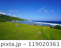 与那国島 119020361