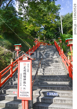 足利織姫神社・男坂の階段【栃木県足利市】 119020529