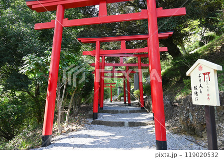 足利織姫神社の七色の鳥居【栃木県足利市】 119020532