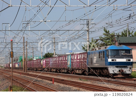 長大編成で東海道貨物線を走行するEF210-6号機牽引の貨物列車_2009/9/17撮影 119020824