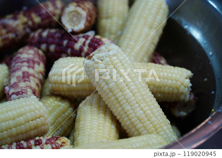 Steamed corn on the cob for sale at a Korean market Steamed corn on the cob for sale at a Korean market 119020945
