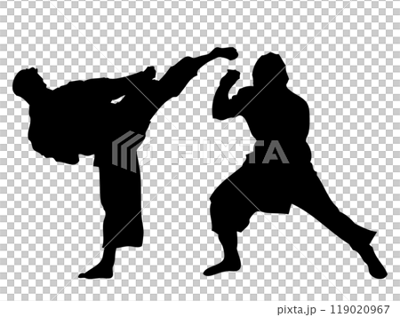 空手道（武術）組手 119020967