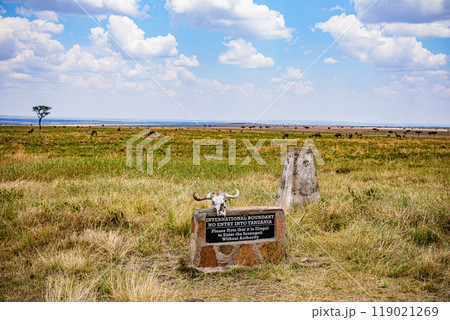 tree on a field 119021269