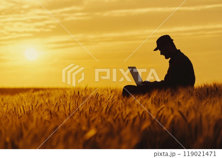 Farmer is sitting in his wheat field at sunset, working on his laptop 119021471