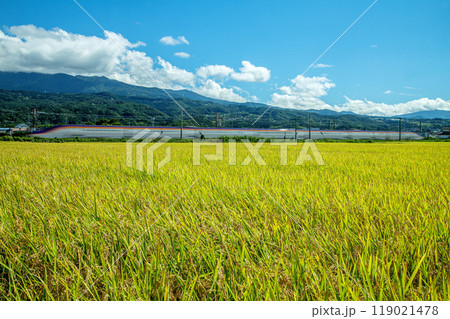 新幹線つばさ 119021478