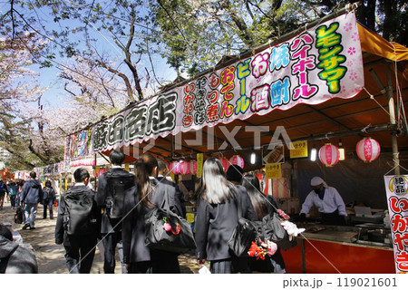 桜咲く参道は木漏れ日の中にあり。参拝に訪れた修学旅行の高校生は縁にとの露店に心を奪われている様子 桜咲く参道は木漏れ日の中にあり。参拝に訪れた修学旅行の高校生は縁にとの露店に心を奪われている様子 119021601