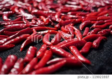 Drying red peppers under the autumn sun 119021697
