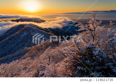 樹氷の丹沢・塔ノ岳山頂から見る朝日と表尾根・大山 樹氷の丹沢・塔ノ岳山頂から見る朝日と表尾根・大山 119021716