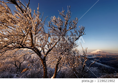 朝の丹沢・塔ノ岳山頂の樹氷と富士山の眺め 119021902