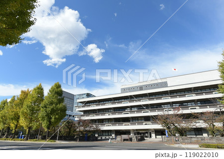 国立国会図書館　東京都千代田区永田町　秋 119022010