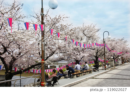 隅田川沿いの桜並木。屋形船から桜見上げる人、公園のベンチで語りながら見る人それぞれが春を楽しんでいる 隅田川沿いの桜並木。屋形船から桜見上げる人、公園のベンチで語りながら見る人それぞれが春を楽しんでいる 119022027