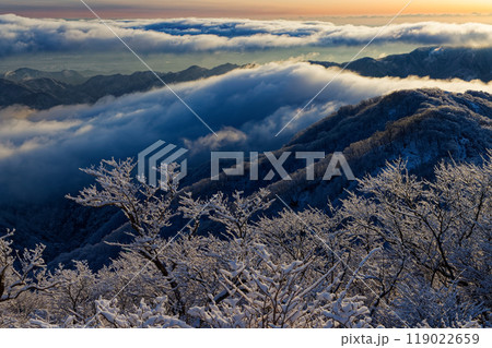 丹沢・塔ノ岳の樹氷と雲流れる朝の山並み 119022659