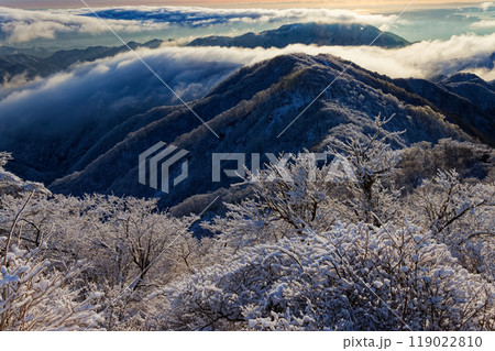 丹沢・塔ノ岳の樹氷と雲流れる朝の山並み 丹沢・塔ノ岳の樹氷と雲流れる朝の山並み 119022810