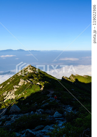 奥秩父の名峰・金峰山の稜線 119022986