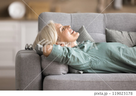 Serene elderly woman takes daytime nap lying on cozy couch Serene elderly woman takes daytime nap lying on cozy couch 119023178