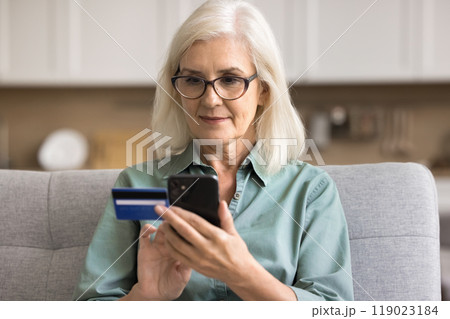 Female sit on sofa at home holding card and cellphone Female sit on sofa at home holding card and cellphone 119023184