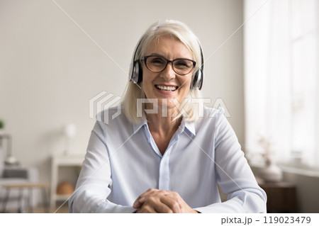 Woman sitting at table engaged in videocall or online meeting Woman sitting at table engaged in videocall or online meeting 119023479