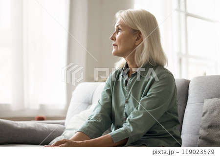 Pensive sad senior female sitting on couch and looking away Pensive sad senior female sitting on couch and looking away 119023579