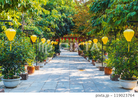 alley decorated with Chinese lanterns in park with trees in a garden at a Buddhist pagoda in Asia in Vietnam alley decorated with Chinese lanterns in park with trees in a garden at a Buddhist pagoda in Asia in Vietnam 119023764