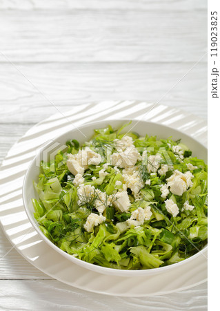 Classic Greek green lettuce salad with feta cheese 119023825