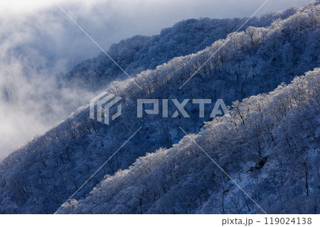 丹沢・塔ノ岳から見る樹氷の山肌 丹沢・塔ノ岳から見る樹氷の山肌 119024138