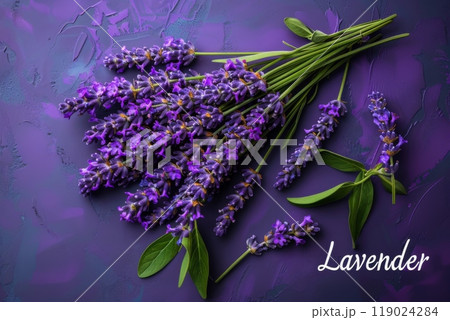 Lavender bouquet on purple background with Lavender text. Ideal for aromatherapy, floral themes, natural beauty, and wellness-related designs Lavender bouquet on purple background with Lavender text. Ideal for aromatherapy, floral themes, natural beauty, and wellness-related designs 119024284