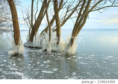 Landscape with frostbitten trees by winter lake 119024368