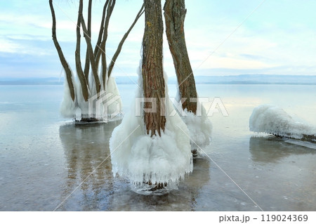 Landscape with frostbitten trees by winter lake 119024369