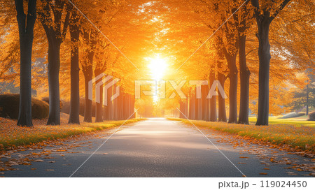 夕日に照らされた並木道 119024450