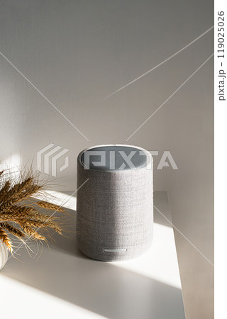 Modern gray speaker on table with soft shadows and light. Modern gray speaker on table with soft shadows and light. 119025026