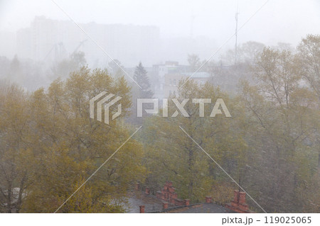Snowstorm on a Summer Day Covering Green Trees Snowstorm on a Summer Day Covering Green Trees 119025065