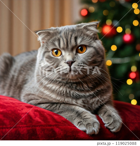 Cats in a Cozy Setting with Blurred Christmas Background Festive and Warm Holiday Atmosphere 119025088