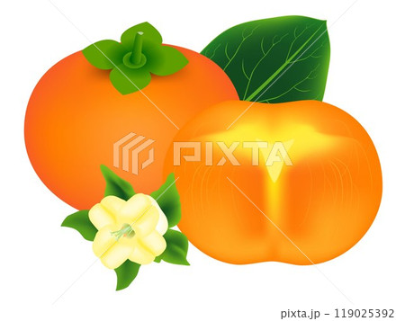 Whole persimmon fruit with leaf, slice and flower isolated on white background. 119025392