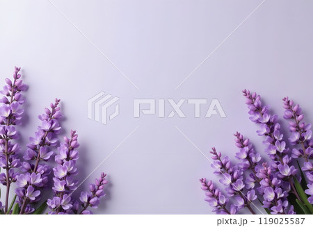 Lavender on a Grayish Purple Background 119025587