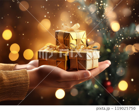 クリスマスプレゼントを持つ手 119025750