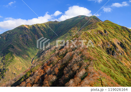 紅葉の谷川連峰・茂倉岳へと続く尾根と青空の絶景 119026164