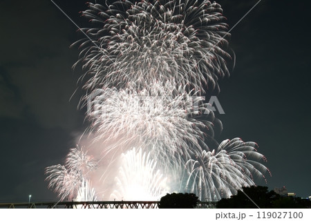 夏の夜空 淀川花火大会2024 夏の夜空 淀川花火大会2024 119027100