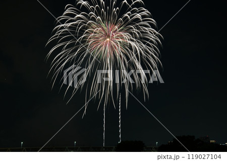 夏の夜空　淀川花火大会2024 119027104