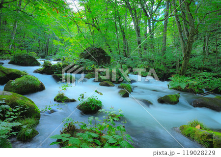 自然が織りなす苔むす岩と流れる水—奥入瀬の風景 自然が織りなす苔むす岩と流れる水—奥入瀬の風景 119028229