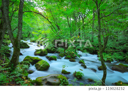 自然が織りなす苔むす岩と流れる水—奥入瀬の風景 自然が織りなす苔むす岩と流れる水—奥入瀬の風景 119028232