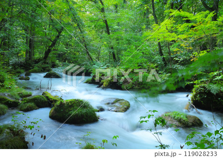 自然が織りなす苔むす岩と流れる水—奥入瀬の風景 119028233