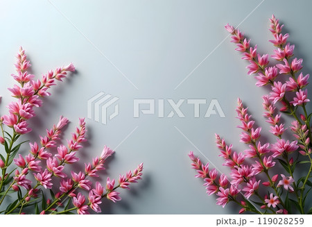 Pink Rosemary on a Gray Background 119028259