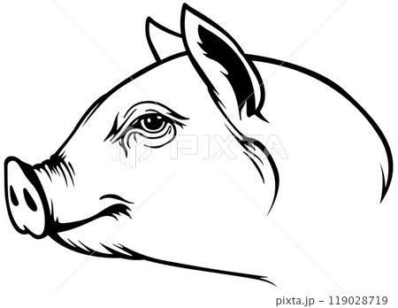Black Drawing of Piggy Head 119028719
