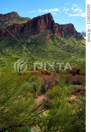 Salt River Recreation Area Arizona Salt River Recreation Area Arizona 119029389