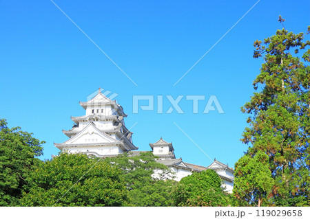 兵庫県姫路市、国宝姫路城の風景 119029658