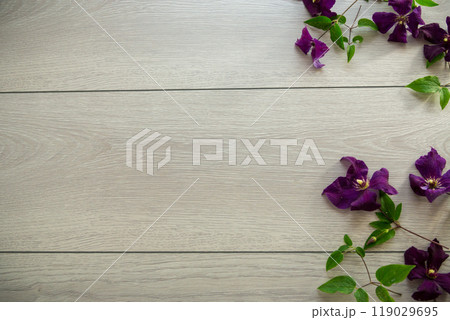 branch of blooming purple clematis, on a light wooden table branch of blooming purple clematis, on a light wooden table 119029695