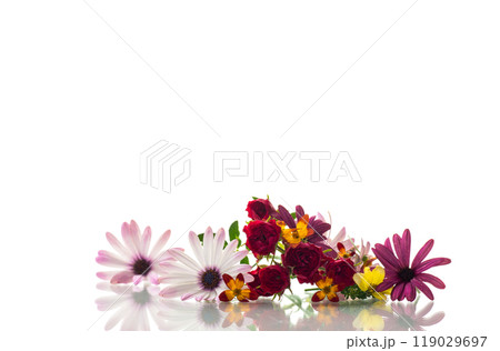 small bouquet of small multi-colored summer flowers small bouquet of small multi-colored summer flowers 119029697
