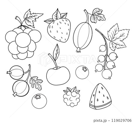 Outline berries fruit. Seasonal bunch of grape, strawberry, gooseberry and raspberry, currant, cherry, blueberry and piece watermelon. Isolated linear drawing, coloring book. Vector illustration. Outline berries fruit. Seasonal bunch of grape, strawberry, gooseberry and raspberry, currant, cherry, blueberry and piece watermelon. Isolated linear drawing, coloring book. Vector illustration. 119029706