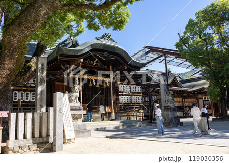 石切剣箭神社の本殿（2024年9月撮影） 119030356