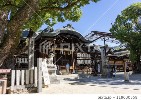 石切剣箭神社の本殿(2024年9月撮影) 石切剣箭神社の本殿(2024年9月撮影) 119030359